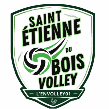 Saint-Étienne-du-Bois Volley