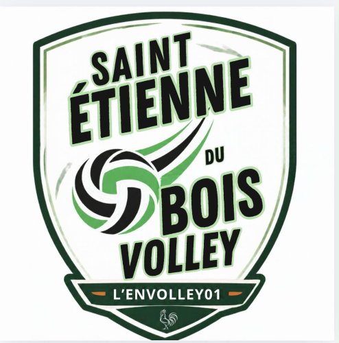 Logo Saint-Étienne-du-Bois Volley